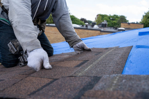 Best Roof Moss and Algae Removal  in Kimberly, ID